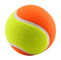 Beach Tennis